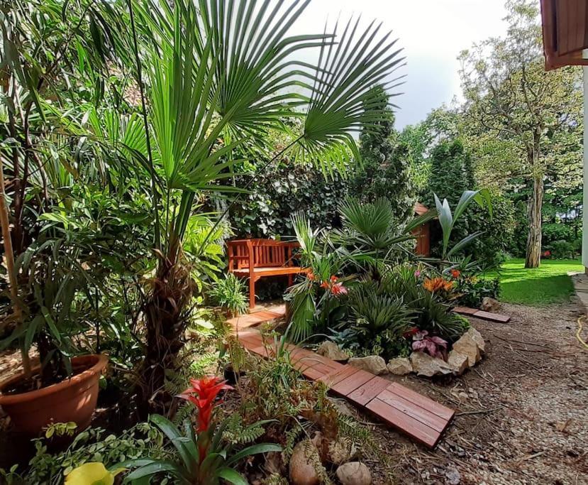 House W Little Tropical Garden Lägenhet Budapest Exteriör bild