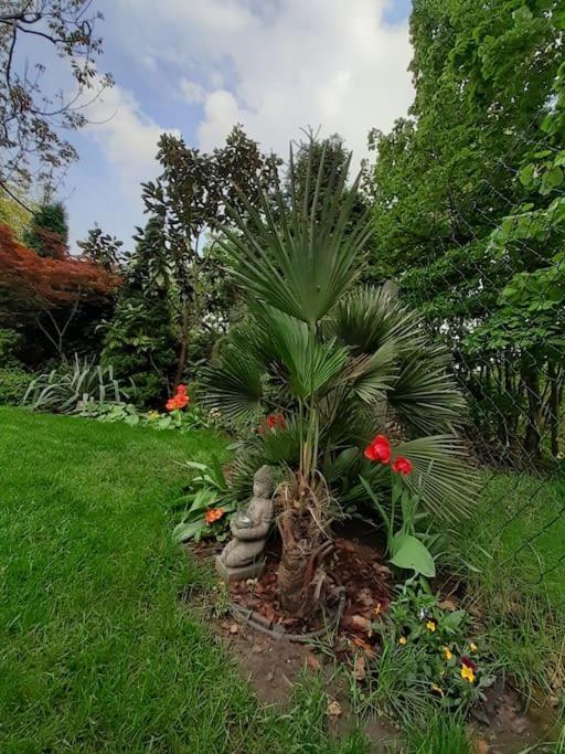 House W Little Tropical Garden Lägenhet Budapest Exteriör bild