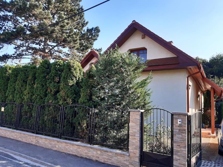 House W Little Tropical Garden Lägenhet Budapest Exteriör bild