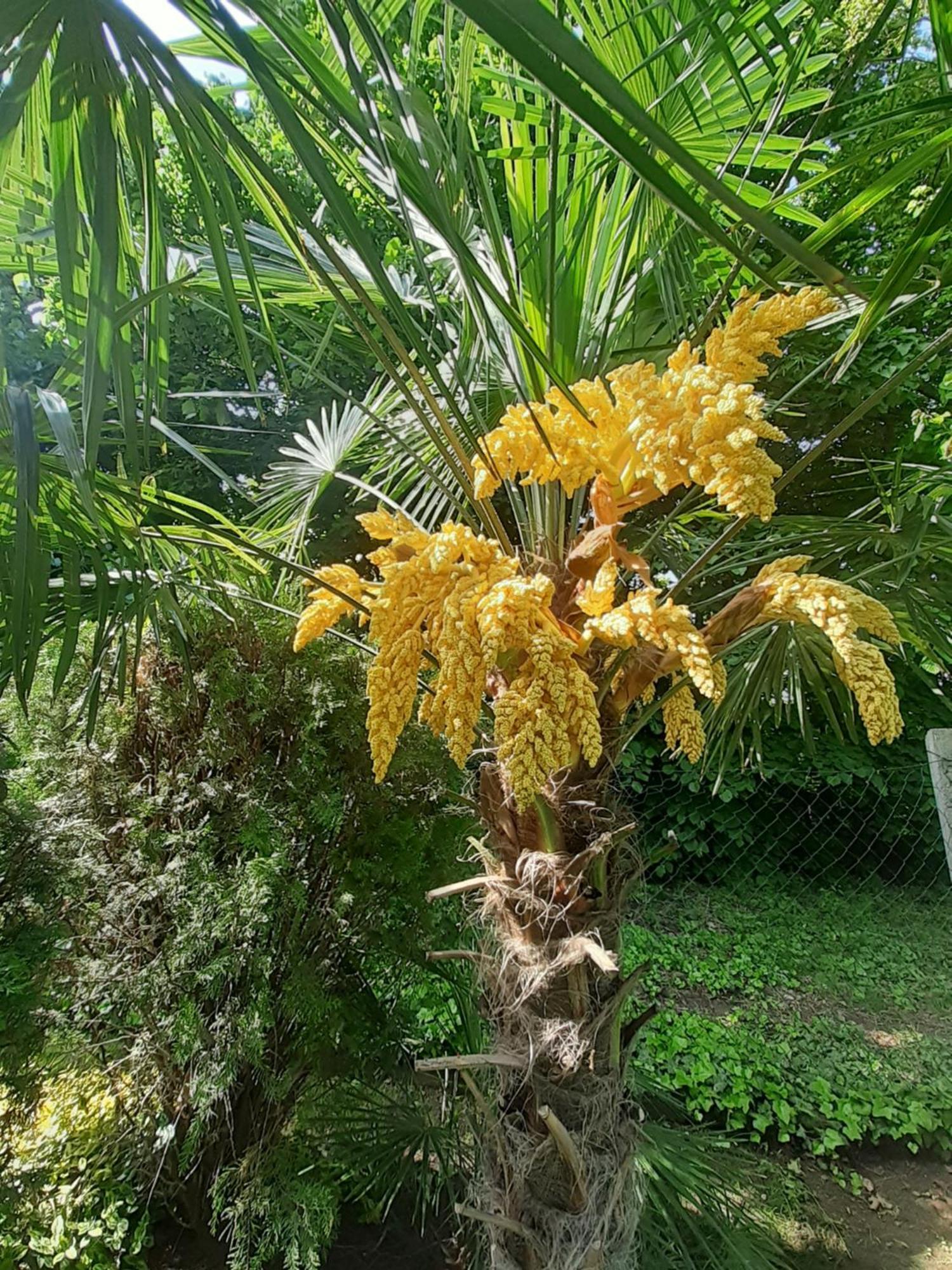 House W Little Tropical Garden Lägenhet Budapest Exteriör bild
